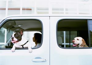 gsユアサのバッテリー等の車部品通販紹介